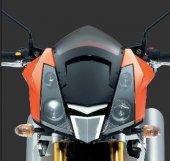 2008 MZ 1000 SF StreetFighter photo